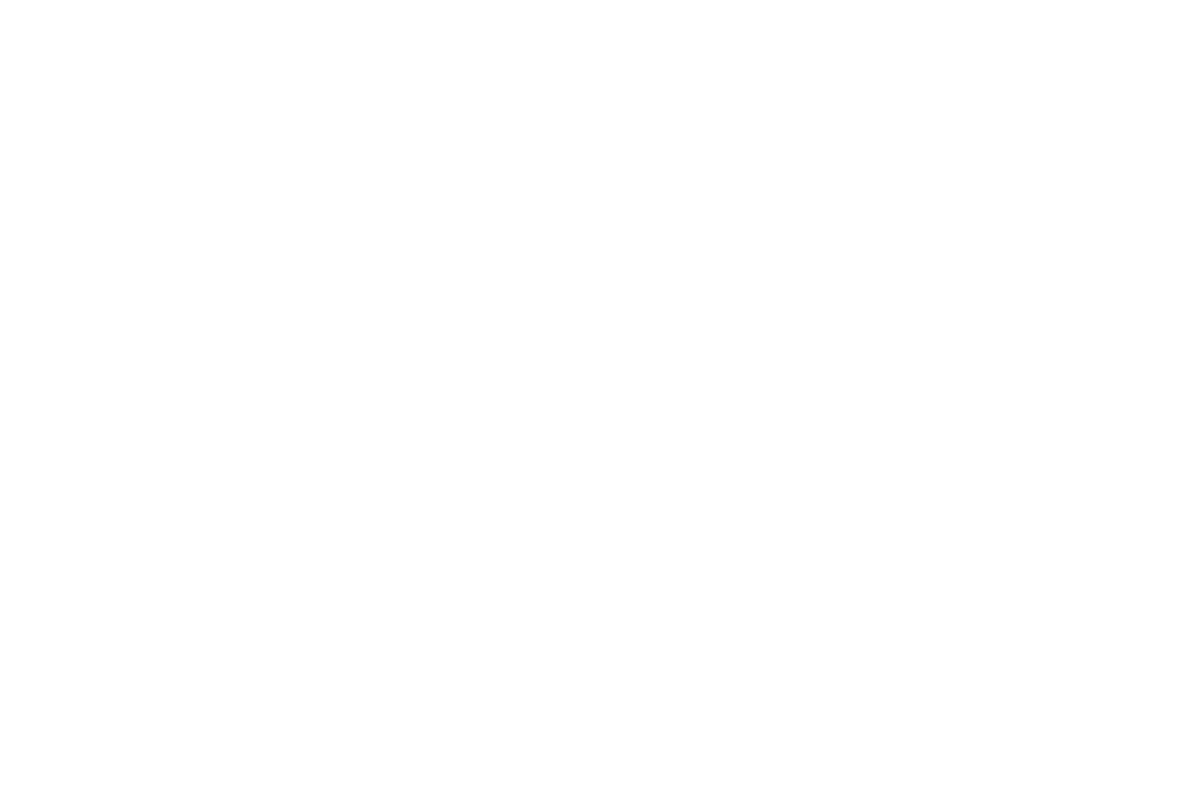 Steelwerks