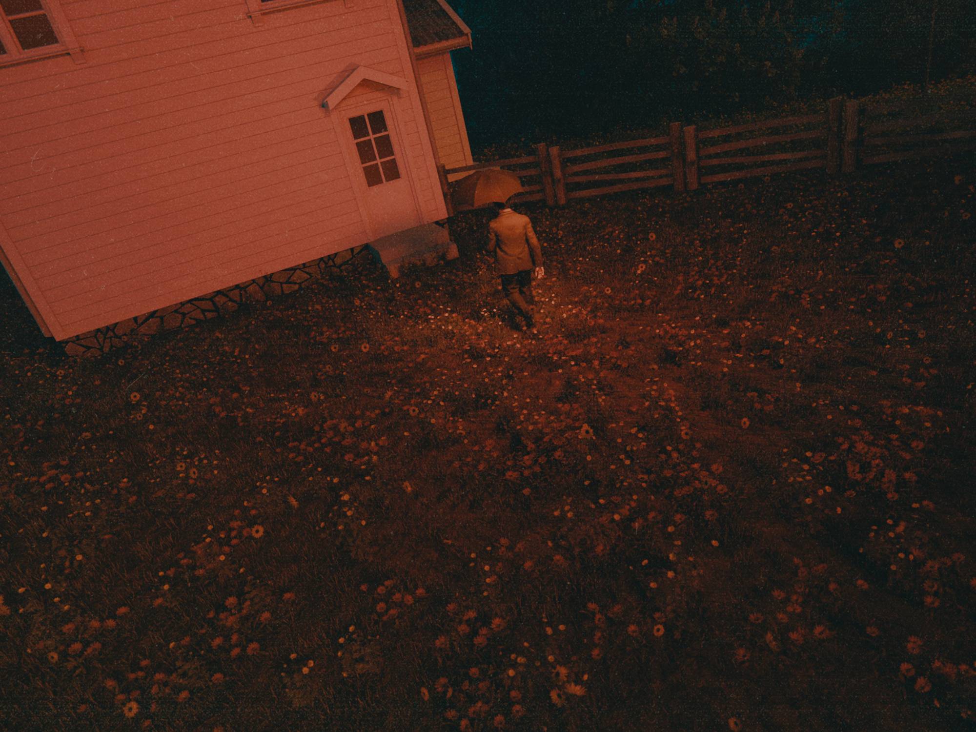 The Dichromatic Dream — 1