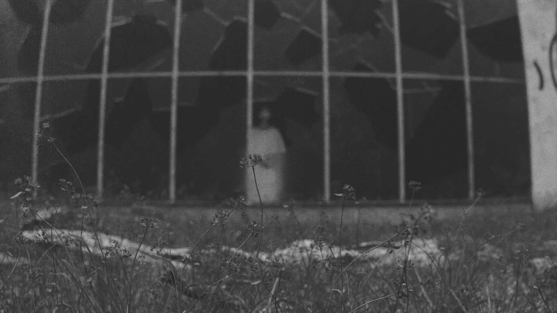 Phantom in the Ruins — 2